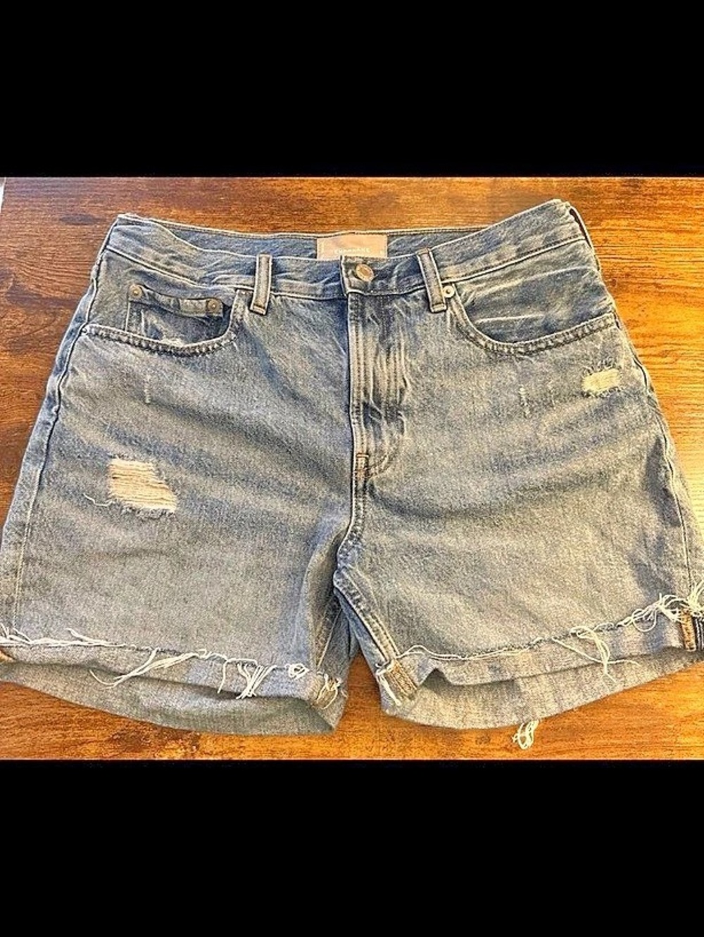 Everlane The Denim Short Distressed Jean Shorts